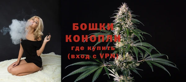 кокс Касимов