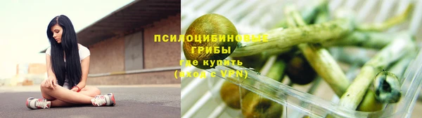 МДПВ Карталы