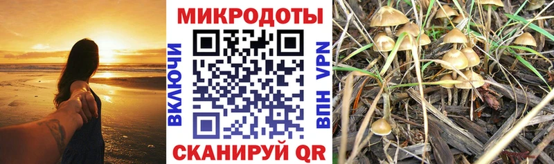 Купить  Княгинино  Псилоцибиновые грибы прущие грибы 